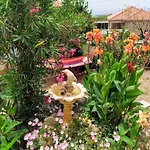 Casa vacanze Traditional House At Pelion Seaside *