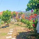 Casa vacanze Traditional House At Pelion Seaside