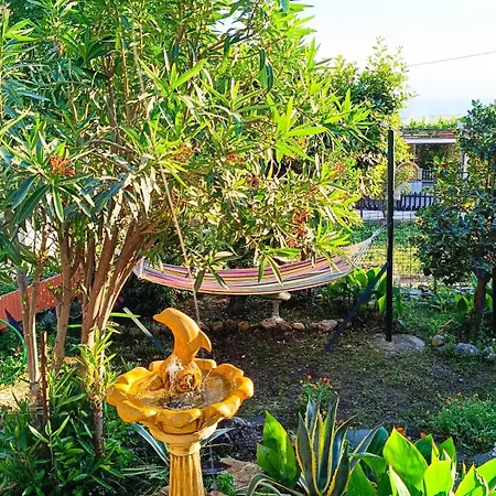 Traditional House At Pelion Seaside