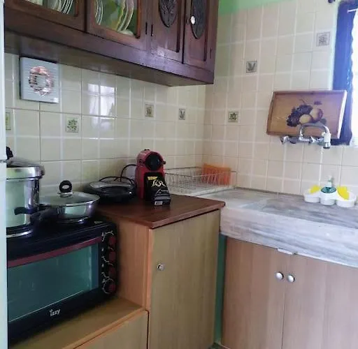 Traditional House At Pelion Seaside بيت للعطل أغريا