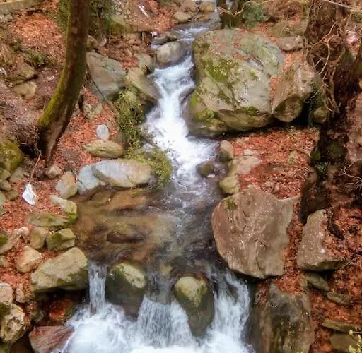 Traditional House At Pelion Seaside بيت للعطل *