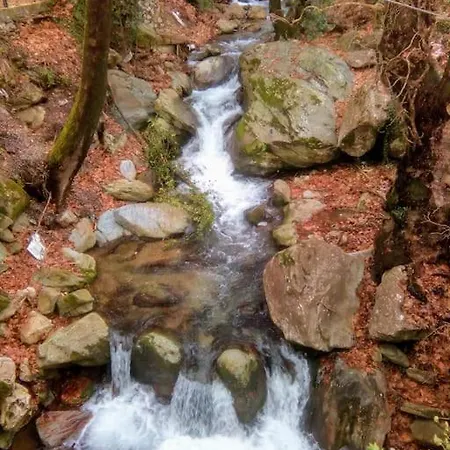 Traditional House At Pelion Seaside Ferienhaus *