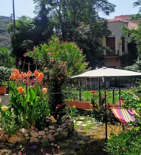 Traditional House At Pelion Seaside Agria